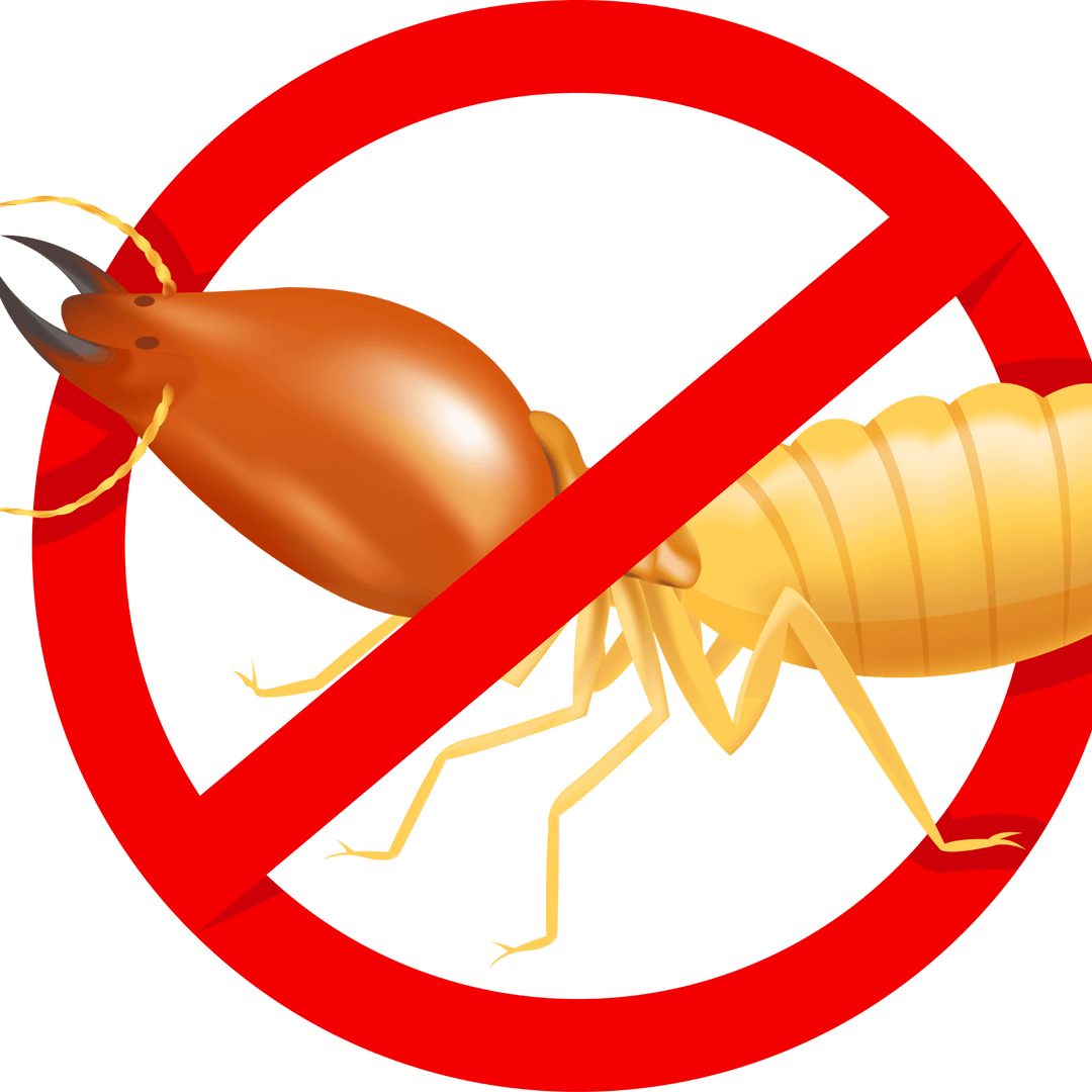termite-resistant