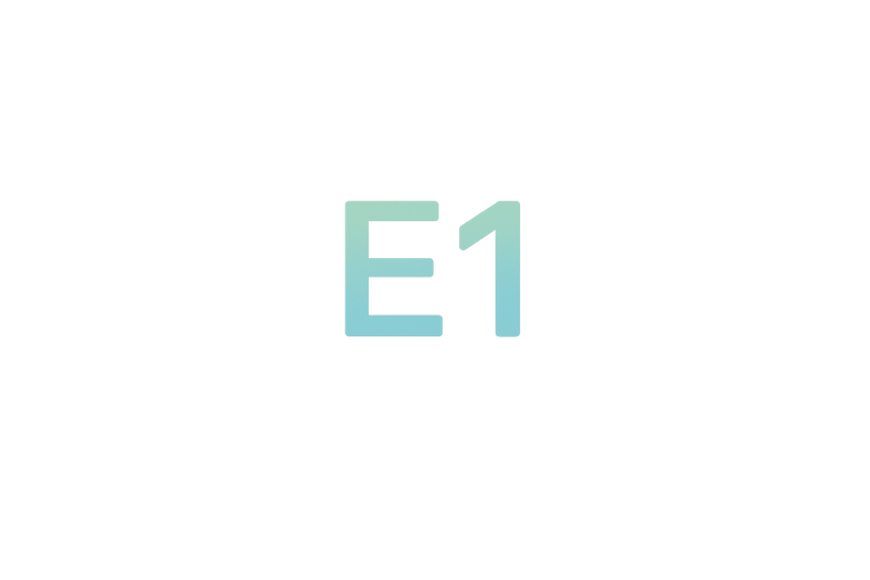 European E1 standard for low formaldehyde emissions